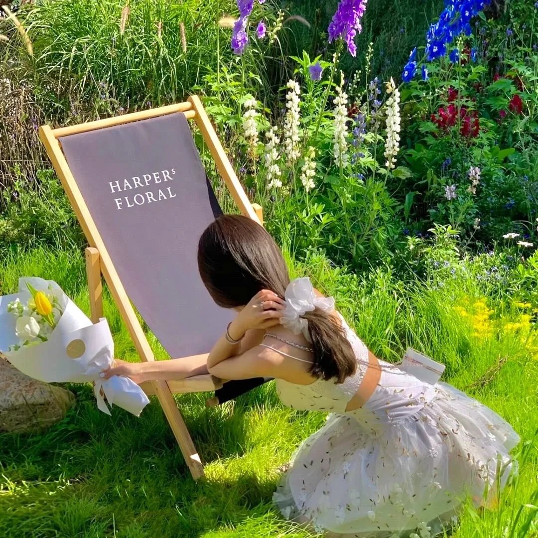 妲己不是坏狐狸 漫动画第二季